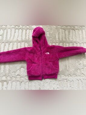 The North Face Bright Fuchsia Fuzzy Hooded Zip Jacket